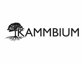 KAMMBIUM