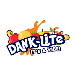 DANK-LITE IT'S A VIBE!