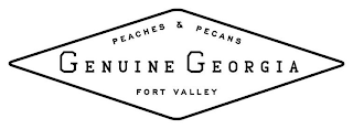 PEACHES & PECANS GENUINE GEORGIA FORT VALLEY