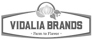 VIDALIA BRANDS · FARM TO FLAVOR ·