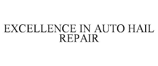 EXCELLENCE IN AUTO HAIL REPAIR