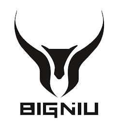 BIGNIU