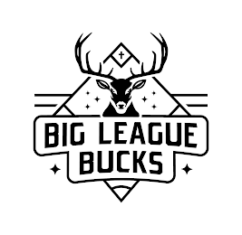 BIG LEAGUE BUCKS