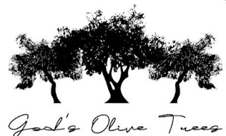 GOD'S OLIVE TREES