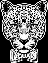 JAGUART