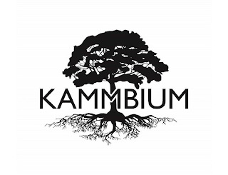 KAMMBIUM