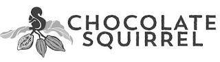 CHOCOLATE SQUIRREL