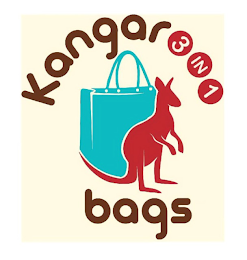 KANGAROOO BAGS 3 IN 1