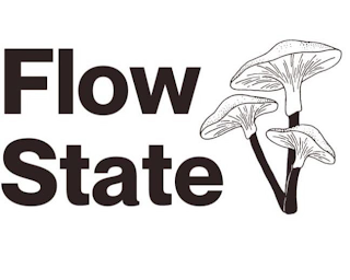 FLOWSTATE