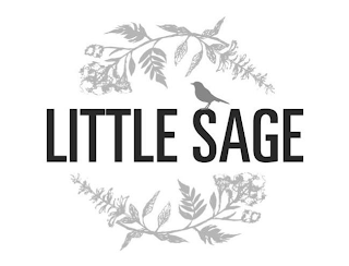 LITTLE SAGE