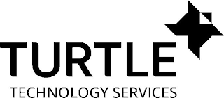 TURTLE TECHNOLOGY SERVICES