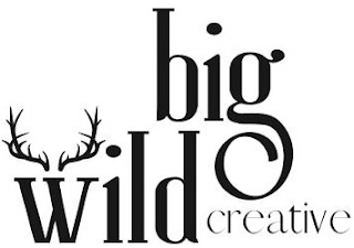 BIG WILD CREATIVE