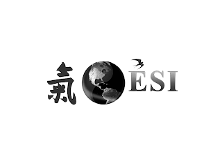 ESI