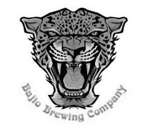 BAJIO BREWING COMPANY