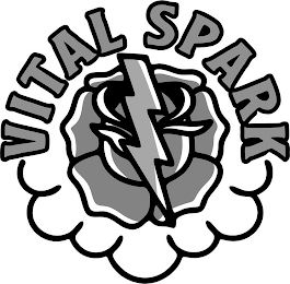 VITAL SPARK