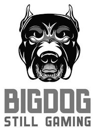 BIGDOG STILL GAMING