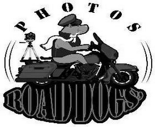 PHOTOS ROAD DOGS