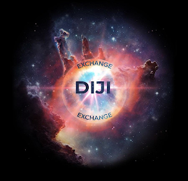 DIJI EXCHANGE EXCHANGE