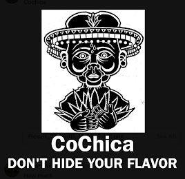 COCHICA DONT HIDE YOUR FLAVOR