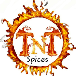 TNT SPICES