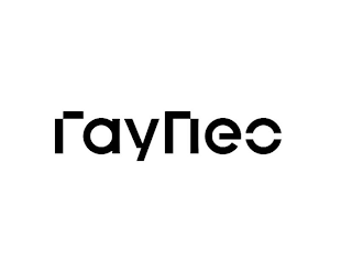 RAYNEO