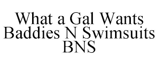 WHAT A GAL WANTS BADDIES N SWIMSUITS BNS