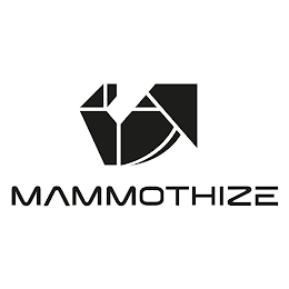 MAMMOTHIZE