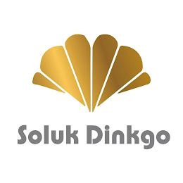 SOLUK DINKGO