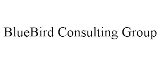 BLUEBIRD CONSULTING GROUP