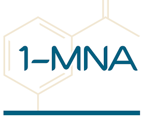 1-MNA