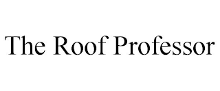 THE ROOF PROFESSOR