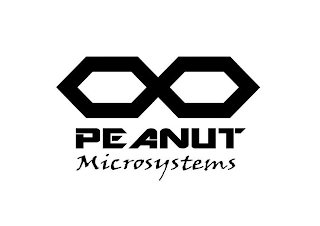 PEANUT MICROSYSTEMS