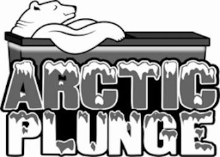 ARCTIC PLUNGE