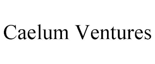 CAELUM VENTURES