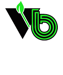 VB