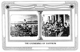 THE GATHERING OF SAFFRON