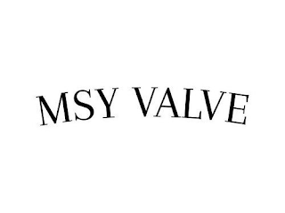 MSY VALVE