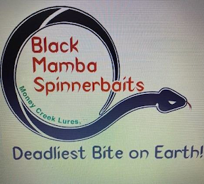 BLACK MAMBA SPINNERBAITS MONEY CREEK LURES, DEADLIEST BITE ON EARTH!