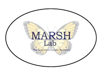 MARSH LAB THE SCIENCE OF STROKE RECOVERY