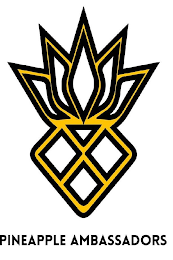 PINEAPPLE AMBASSADORS