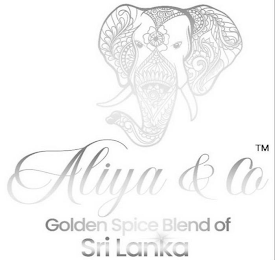 ALIYA & CO GOLDEN SPICE BLEND OF SRILANKA
