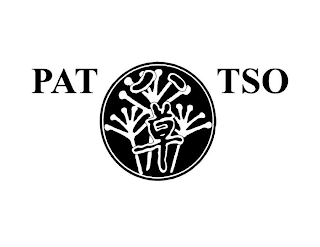 PAT TSO