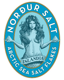 NORDUR SALT ARCTIC SEA SALT FLAKES ISLANDIA