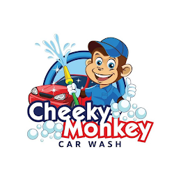 CHEEKY MONKEY CAR WASH