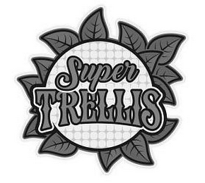 SUPER TRELLIS