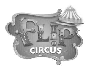 FLIP CIRCUS