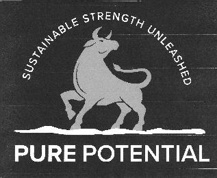 SUSTAINABLE STRENGTH UNLEASHED PURE POTENTIAL