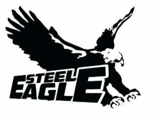 STEEL EAGLE