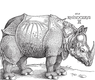 1515 RHINOCERUS DA