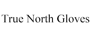 TRUE NORTH GLOVES